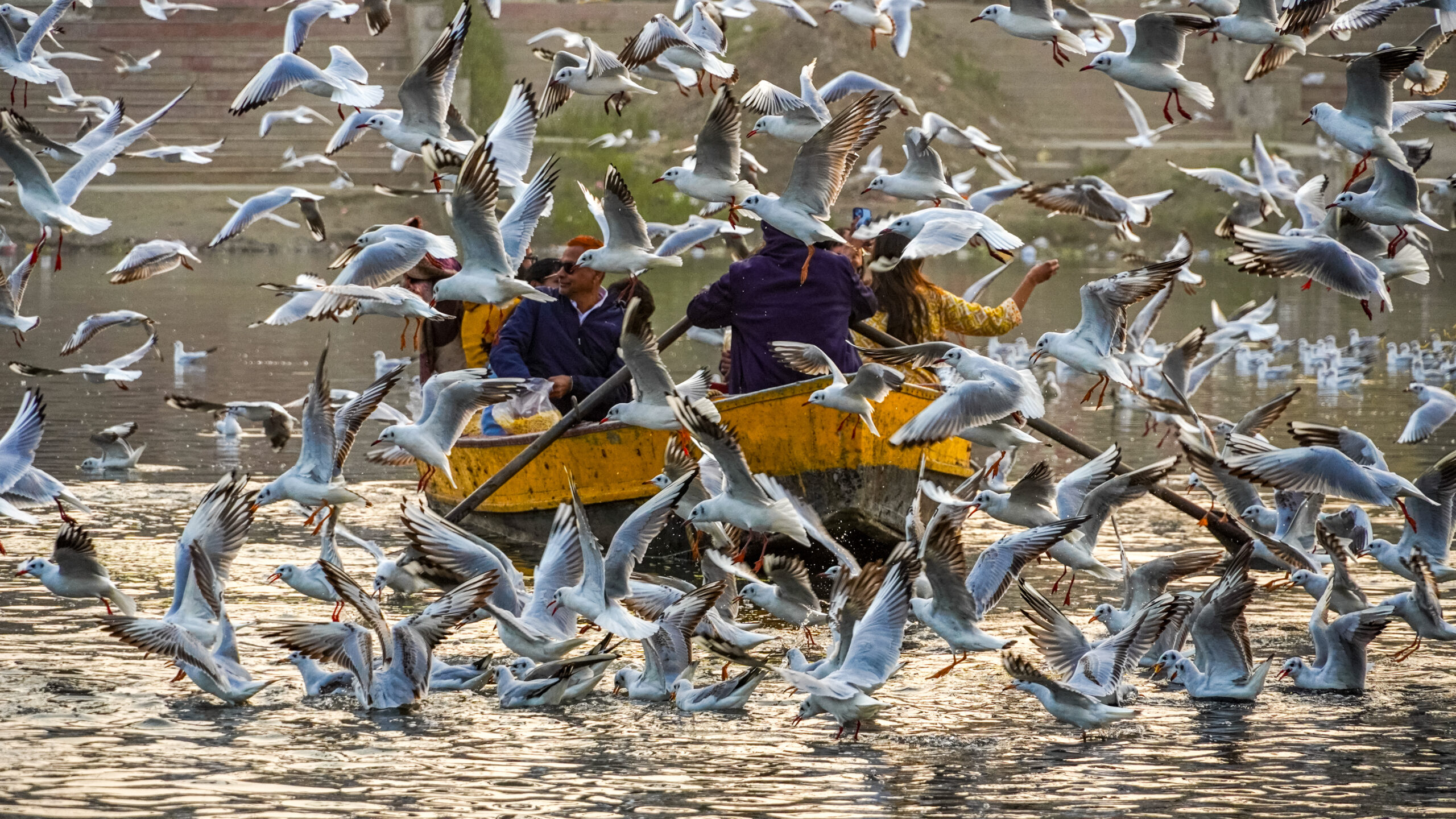 जिदंगी : धुप ,बारिश और बसंत के बीच