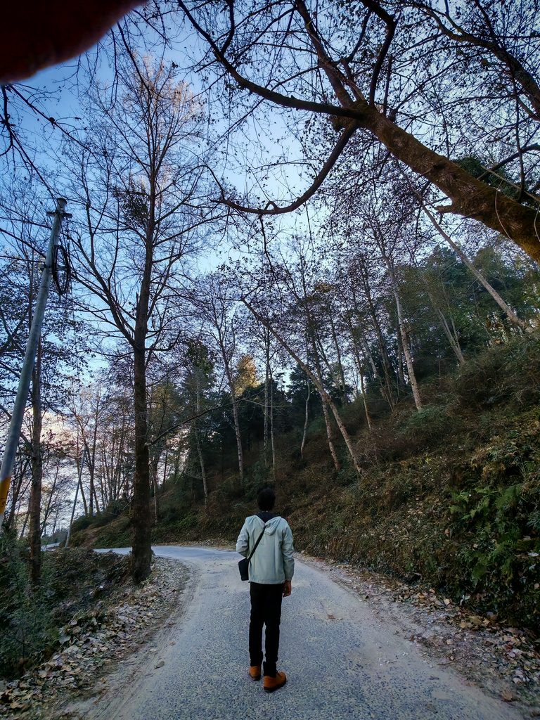 IMG 20260102 093503 768x1024 1