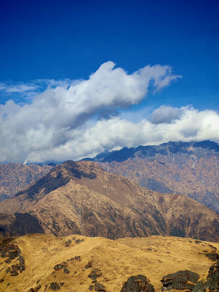 IMG 20260103 114227 2 768x1024 1